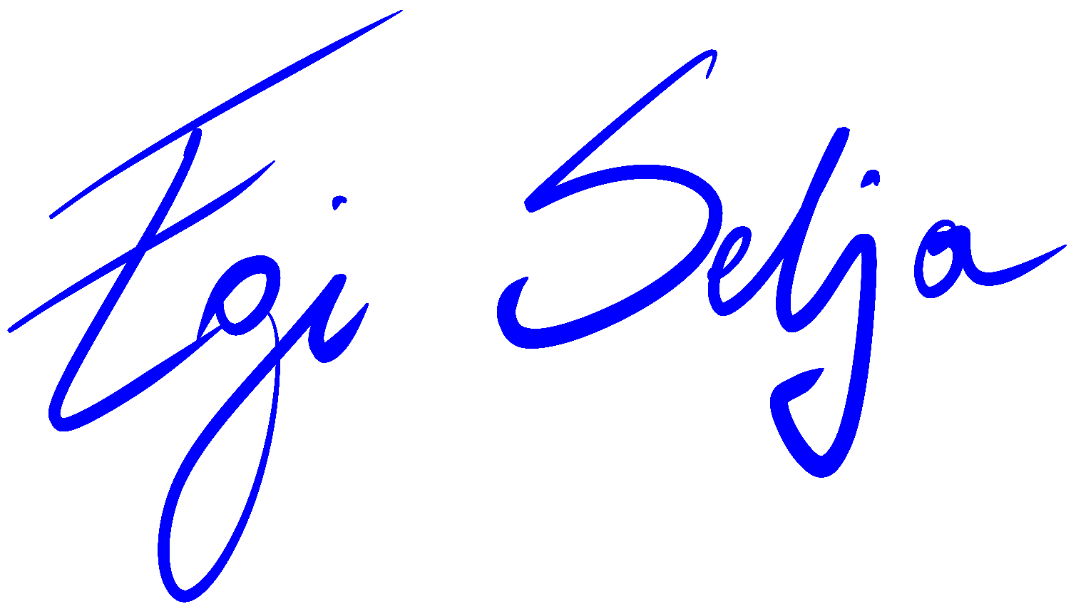 Egi Selja